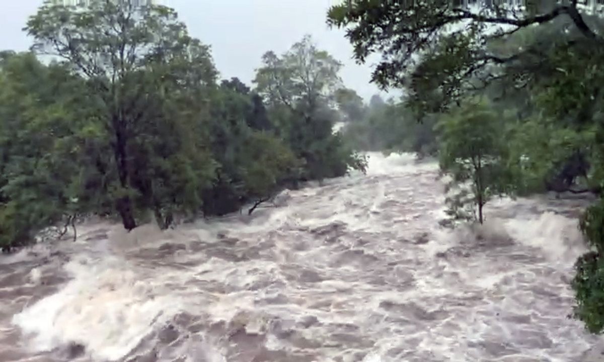 Reißender Fluss mit weißen Schaumkronen umflutet die am Rand stehenden Bäume.